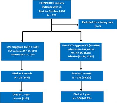 One-year outcomes in cardiogenic shock triggered by supraventricular tachycardia: an analysis of the FRENSHOCK multicenter prospective registry